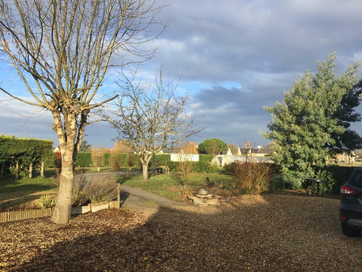 Gite Dans Le Vignoble De Bourgueil Le Port Boulet Exterior foto